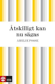 Cover for Åtskilligt kan nu sägas