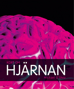 Cover for Kort om hjärnan