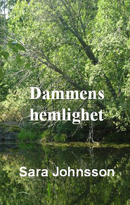 Omslagsbild för Dammens hemlighet