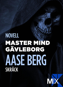 Omslagsbild för Master Mind Gävleborg