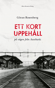 Cover for Ett kort uppehåll på vägen från Auschwitz