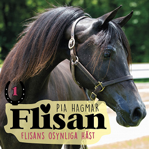 Omslagsbild för Flisan 1 - Flisans osynliga häst