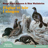 Cover for Fåglar vi hör i skogen : dygnet runt i skogen