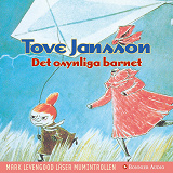 Cover for Det osynliga barnet