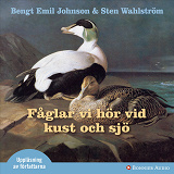 Cover for Fåglar vi hör vid kust och sjö