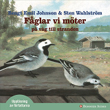 Cover for Fåglar vi möter på väg mot stranden