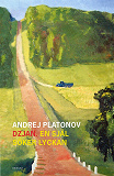 Cover for Dzjan