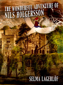 Cover for The wonderful adventure of Nils Holgersson