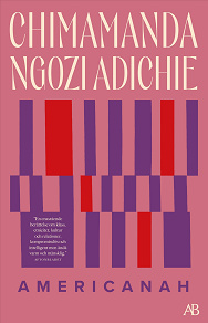 Cover for Americanah