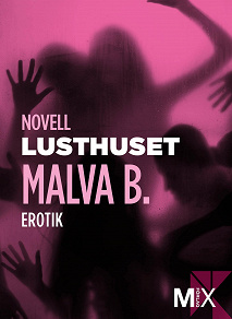 Cover for Lusthuset : en novell ur Begär