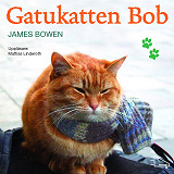 Cover for Gatukatten Bob
