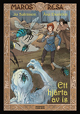 Cover for Ett hjärta av is