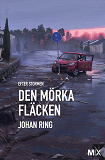 Omslagsbild för Efter stormen. Den mörka fläcken