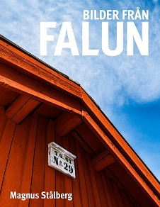 Omslagsbild för Bilder från Falun