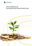 Omslagsbild för Practical Methods for Assessing Private Climate Finance Flows