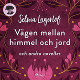Cover for Vägen mellan himmel och jord (och andra noveller)