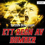 Omslagsbild för Ett regn av bomber / Lättläst