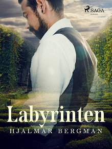 Cover for Labyrinten
