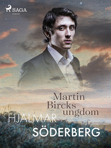 Cover for Martin Bircks Ungdom