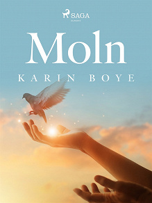 Cover for Moln