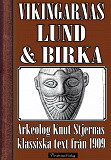 Omslagsbild för Vikingatidens Lund och Birka