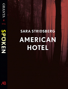 Omslagsbild för American Hotel : en e-singel ur Granta #4