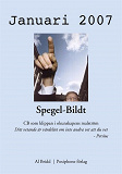 Omslagsbild för Spegel-Bildt, januari 2007. CB som klippan i okunskapens malström.