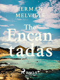 Cover for The Encantadas