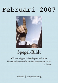 Omslagsbild för Spegel-Bildt, februari 2007. CB som klippan i okunskapens malström.