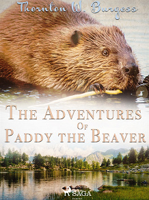 Omslagsbild för The Adventures of Paddy the Beaver