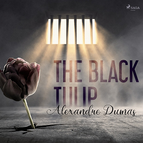 Cover for The Black Tulip