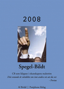 Omslagsbild för Spegel-Bildt, 2008. CB som klippan i okunskapens malström.