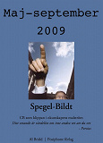 Omslagsbild för Spegel-Bildt, maj - september 2009. CB som klippan i okunskapens malström.