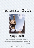 Omslagsbild för Spegel-Bildt, januari 2013. CB som klippan i okunskapens malström.