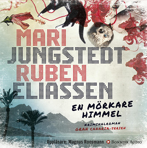 Cover for En mörkare himmel