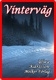Cover for Vinterväg