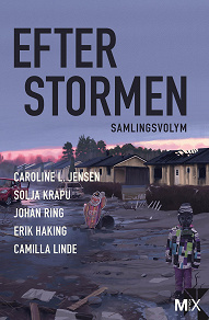 Omslagsbild för Efter stormen : utökad samlingsvolym