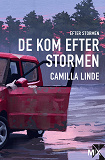 Omslagsbild för De kom efter stormen : Efter stormen