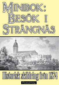 Omslagsbild för Minibok: Ett besök i Strängnäs 1874