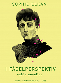 Omslagsbild för I fågelperspektiv : valda noveller ur äldre samlingar av Sophie Elkan (Rust Roest)