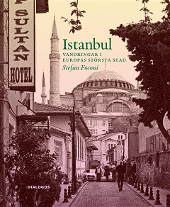 Omslagsbild för Istanbul - Vandringar i europas största stad