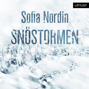 Cover for Snöstormen / Lättläst