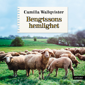 Cover for Bengtssons hemlighet / Lättläst