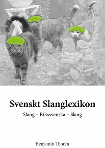 Omslagsbild för Svenskt Slanglexikon