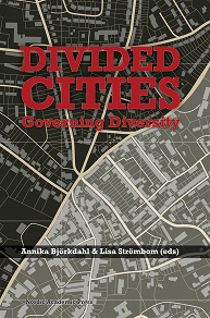 Omslagsbild för Divided Cities: Governing Diversity