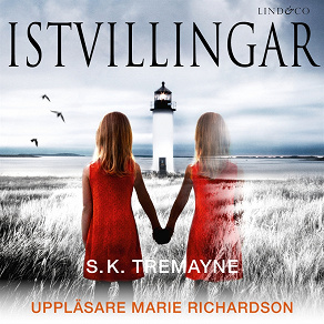 Cover for Istvillingar