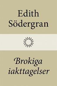 Cover for Brokiga iakttagelser