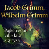Cover for Pojken som ville lära sig rysa