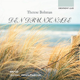 Cover for Den drunknade