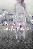 Cover for Nyckeln till det förflutna